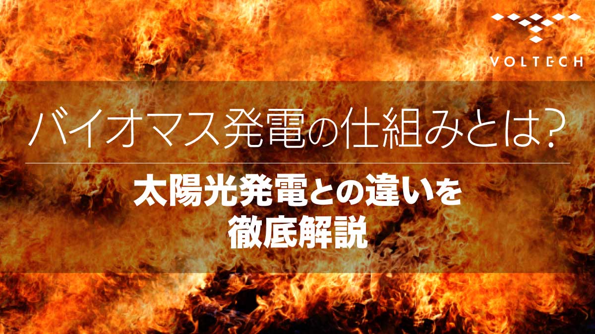バイオマス発電の仕組みとは？太陽光発電との違いを徹底解説